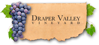 Draper Valley Vineyard